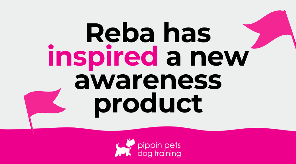 Reba has inspired a new awareness product!