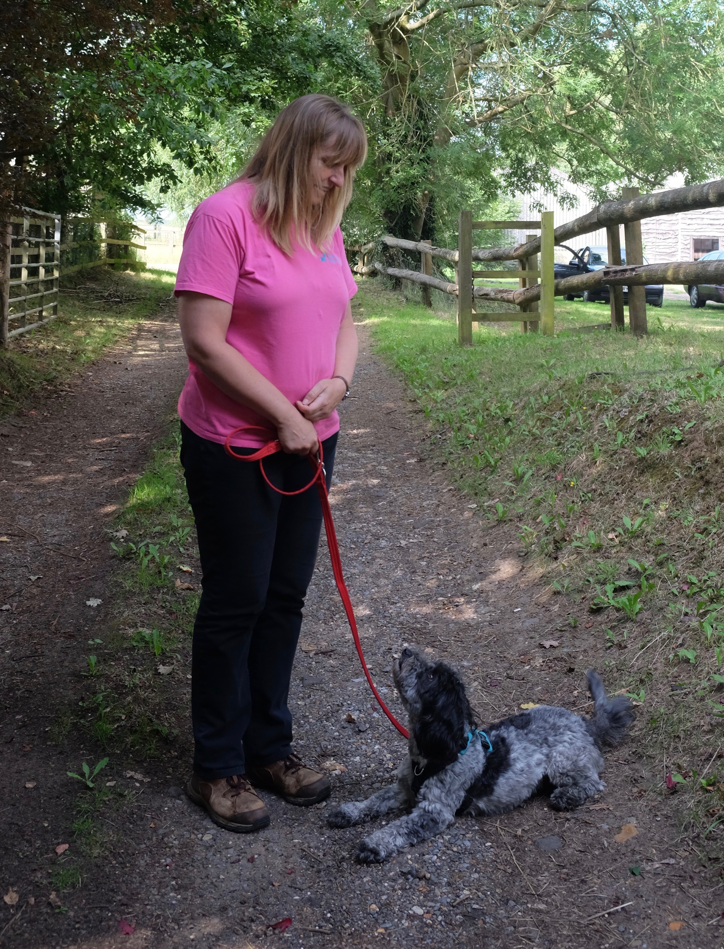 verbal cues for our dogs