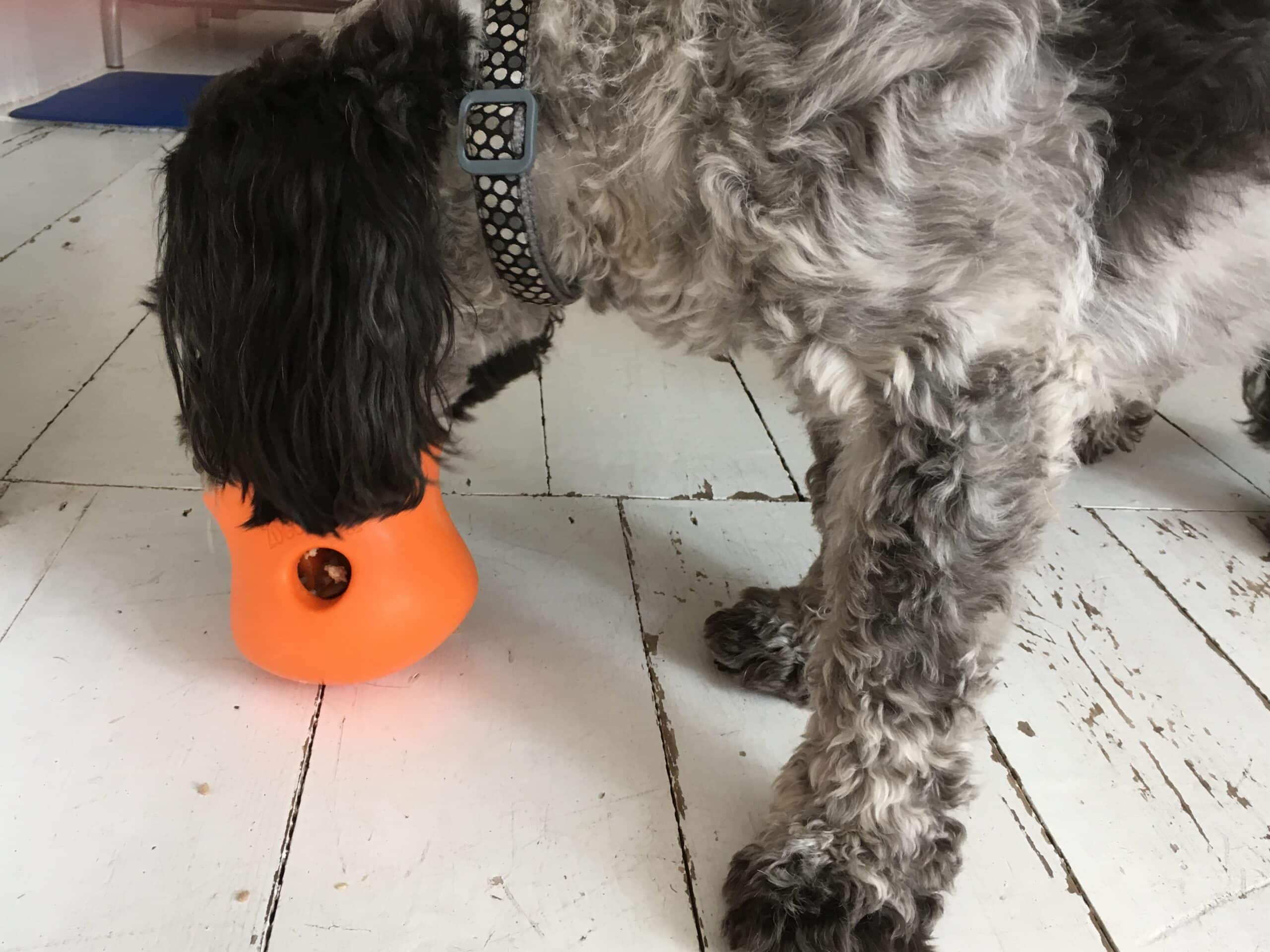 Top of the Toppl’s (and other feeder toys!)