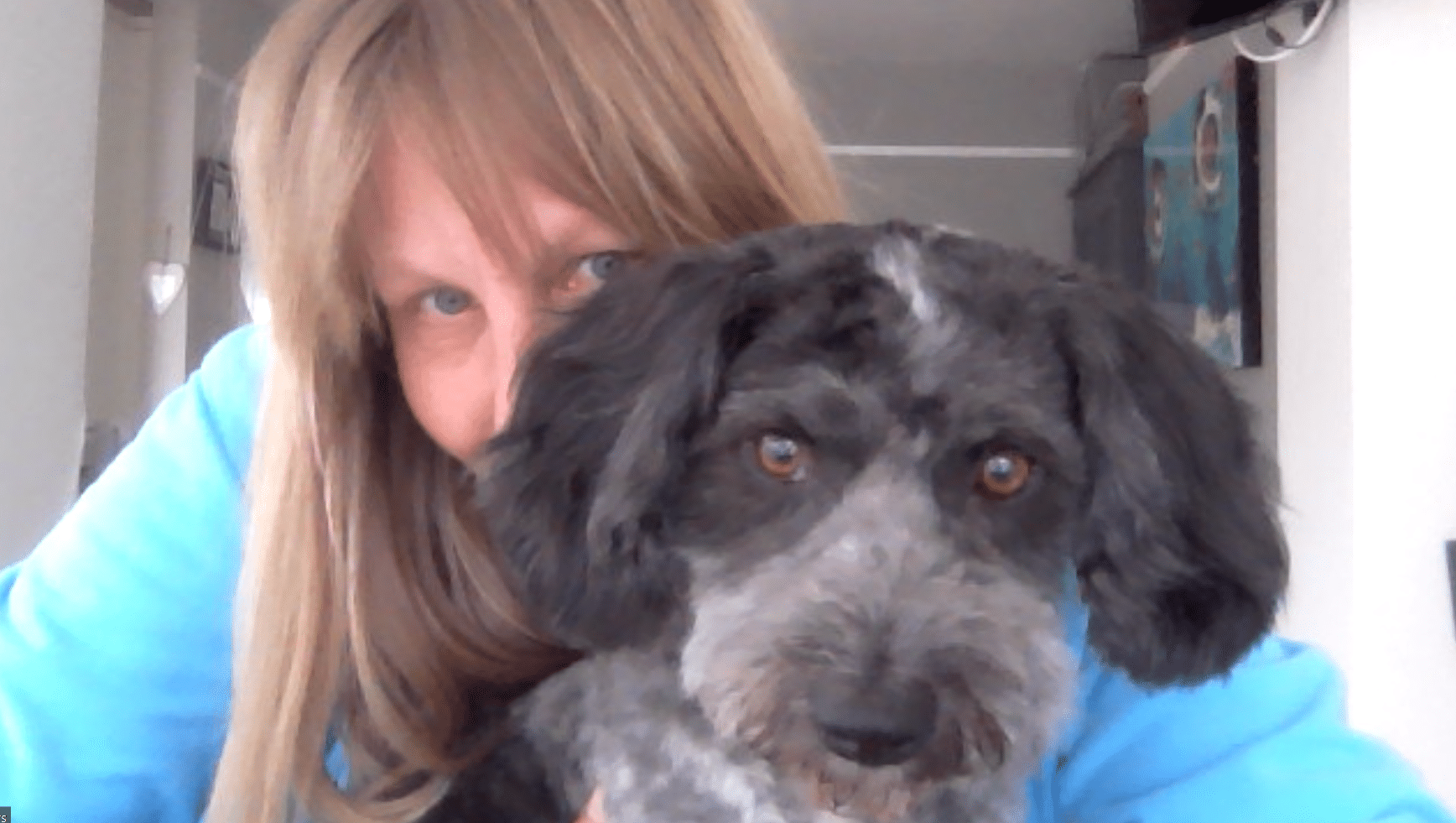 staying in with the dog