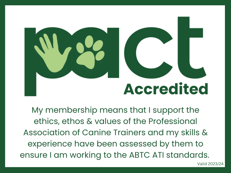 Finding a good dog trainer