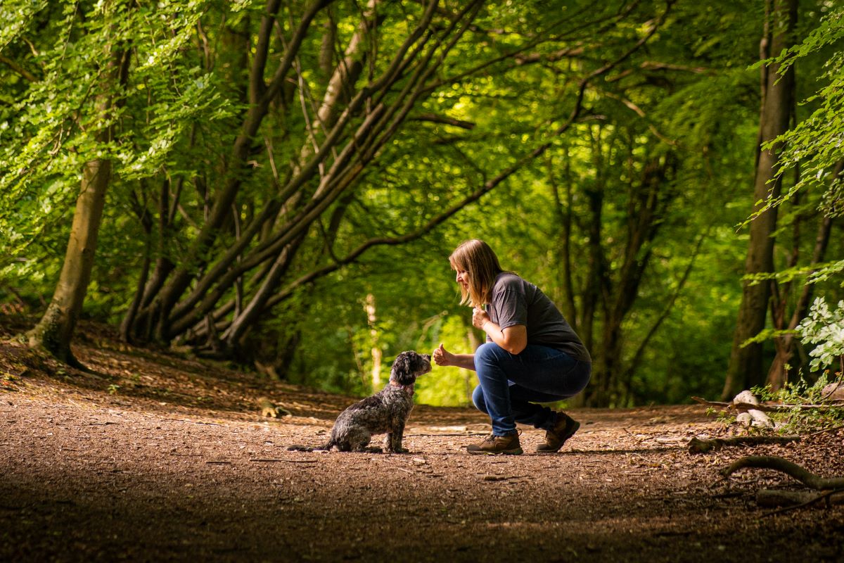 Podcast Ep 29 – Why I don’t teach puppies to Sit