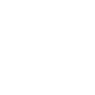 Separation anxiety assessment icon