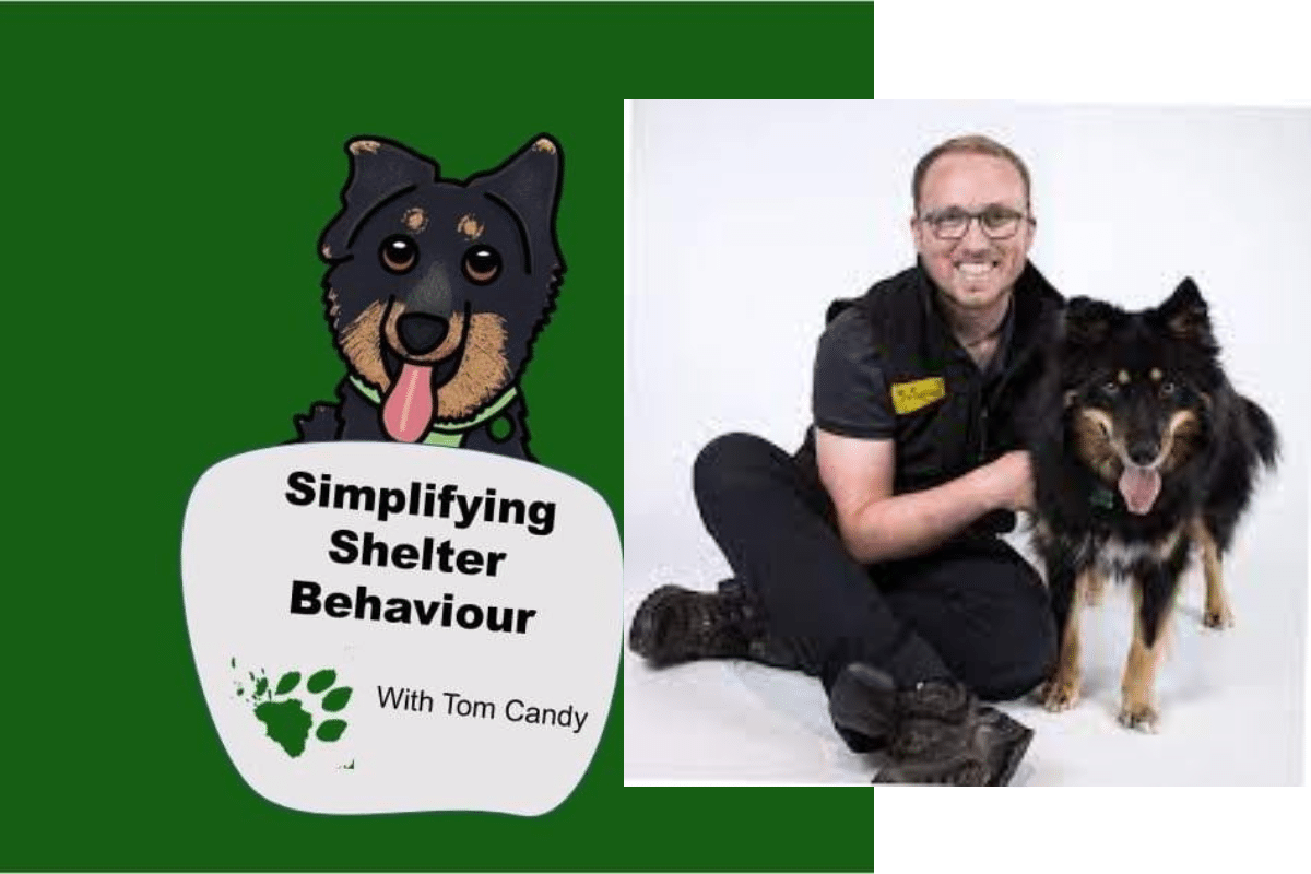 Podcast – Ep 34 – Interview with Tom Candy – Rescue Dogs