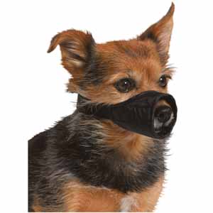 inappropriate muzzle