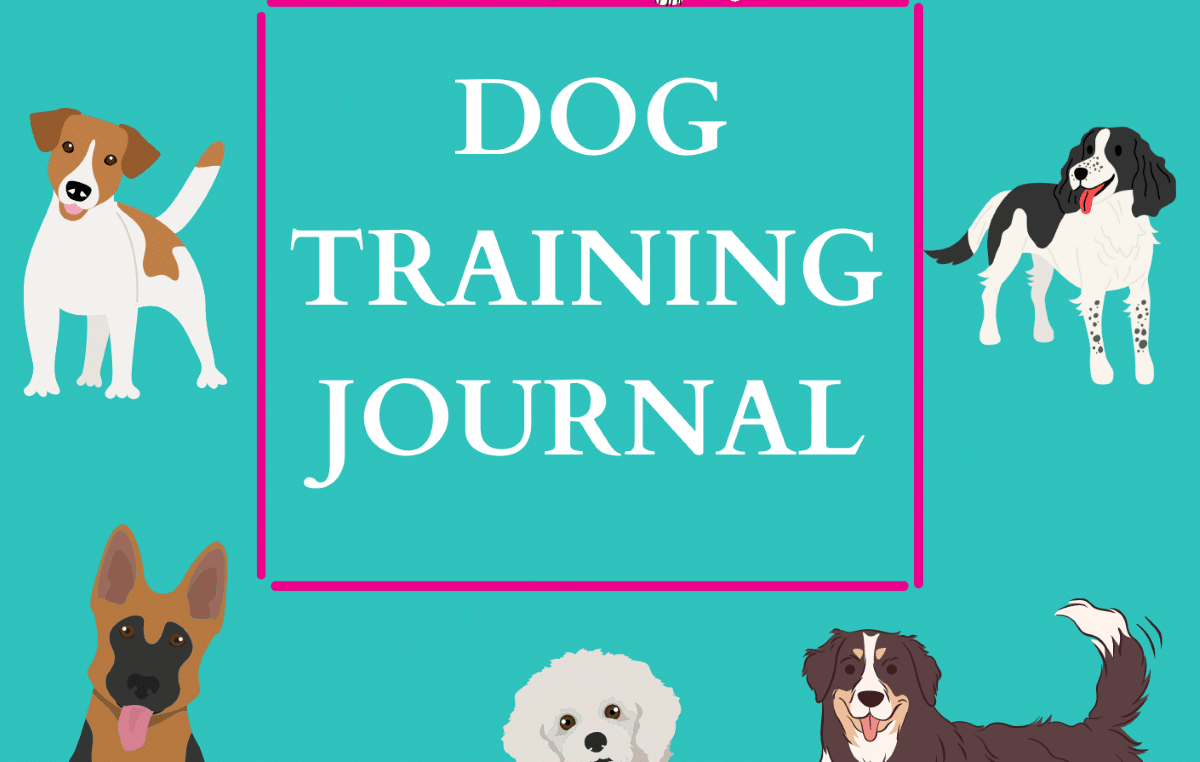 Podcast Ep 30 – You need a diary!